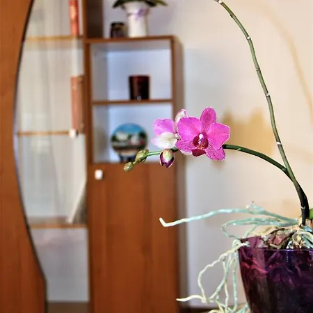 Apartment Marina A